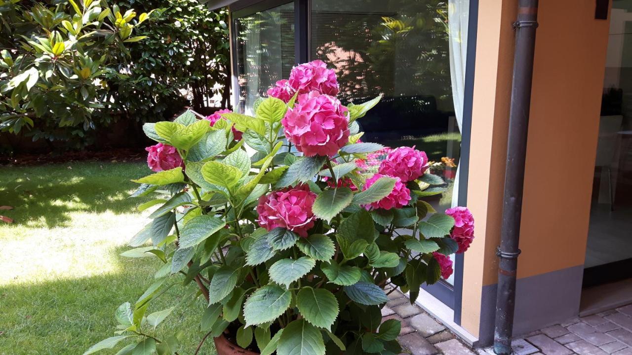 La Magnolia B&B — Foto 2